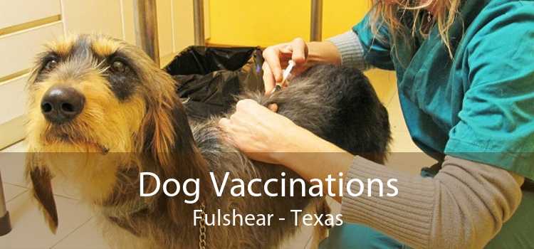 Dog Vaccinations Fulshear - Texas