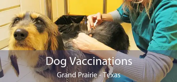 Dog Vaccinations Grand Prairie - Texas