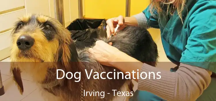 Dog Vaccinations Irving - Texas