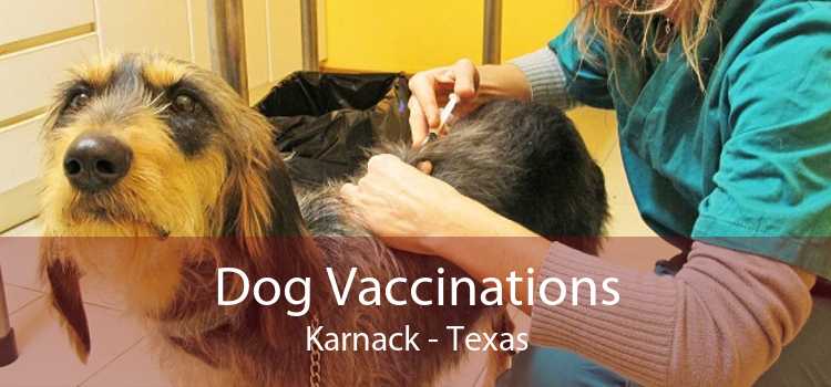 Dog Vaccinations Karnack - Texas