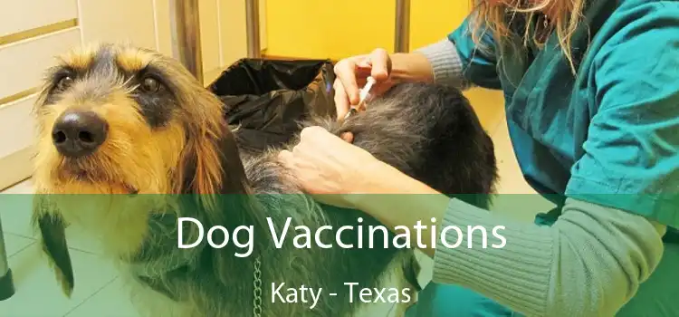 Dog Vaccinations Katy - Texas