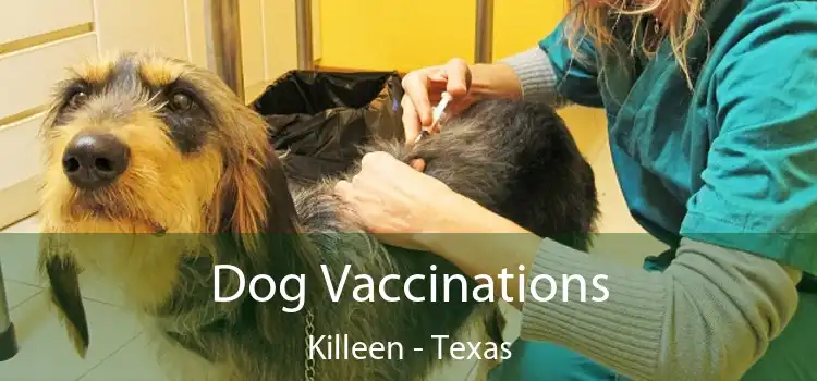 Dog Vaccinations Killeen - Texas