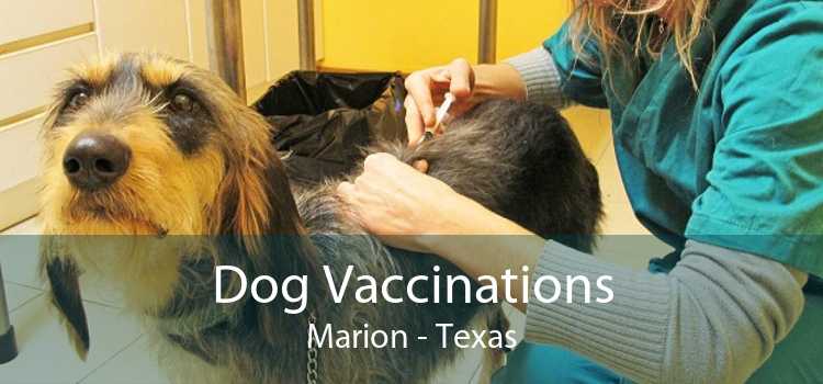 Dog Vaccinations Marion - Texas