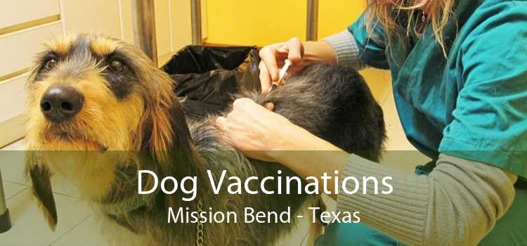 Dog Vaccinations Mission Bend - Texas