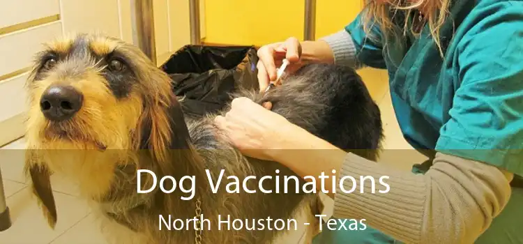 Dog Vaccinations North Houston - Texas