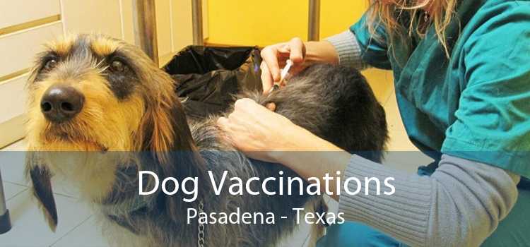 Dog Vaccinations Pasadena - Texas