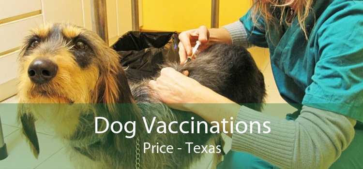 Dog Vaccinations Price - Texas