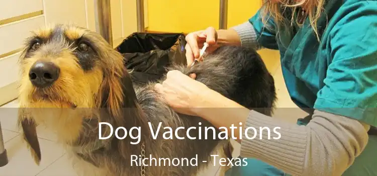 Dog Vaccinations Richmond - Texas