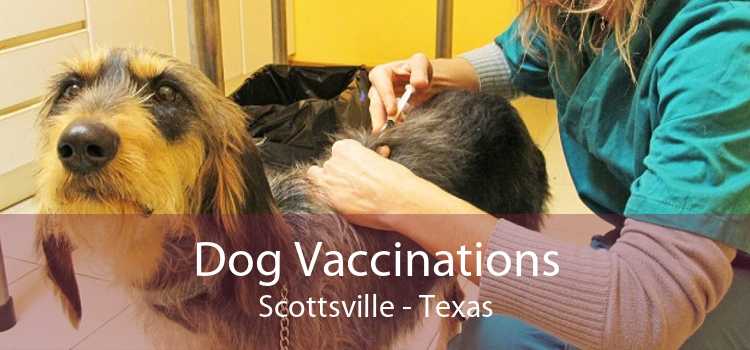 Dog Vaccinations Scottsville - Texas