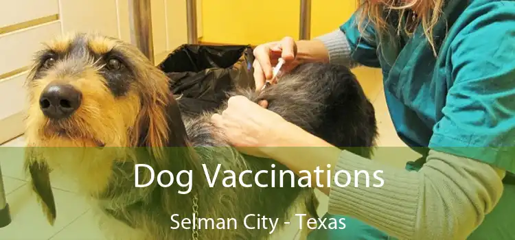 Dog Vaccinations Selman City - Texas