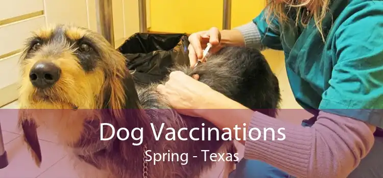 Dog Vaccinations Spring - Texas