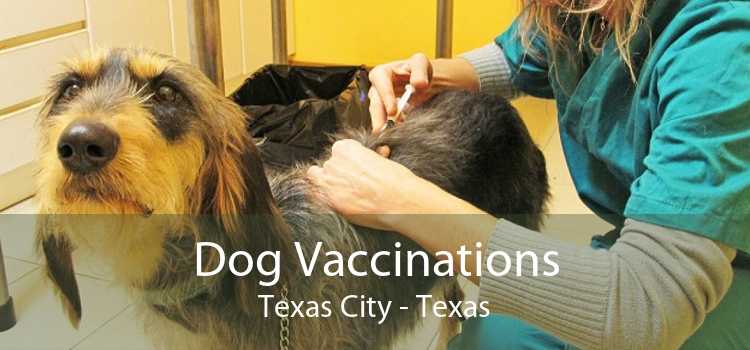 Dog Vaccinations Texas City - Texas