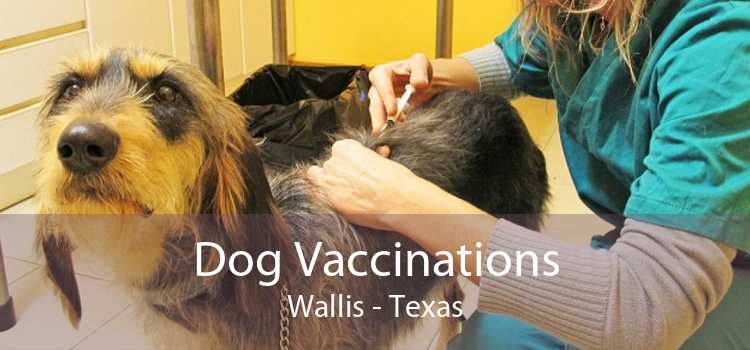 Dog Vaccinations Wallis - Texas