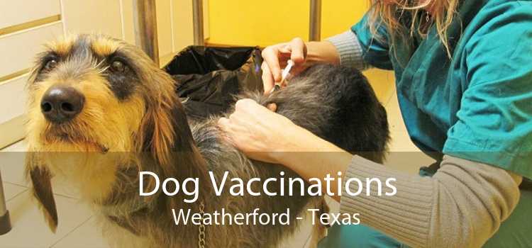 Dog Vaccinations Weatherford - Texas