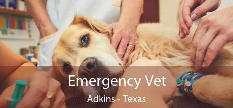 Emergency Vet Adkins - Texas