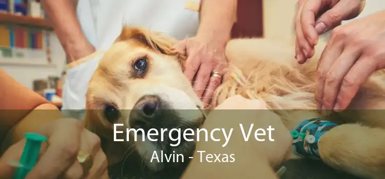 Emergency Vet Alvin - Texas
