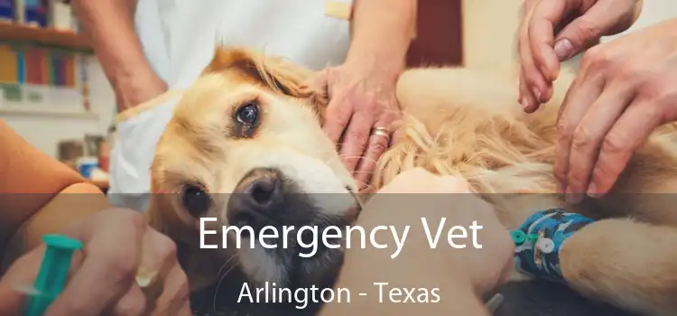 Emergency Vet Arlington - Texas