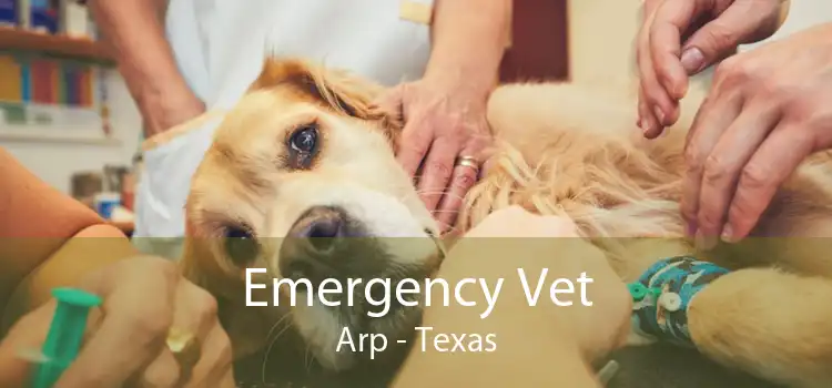 Emergency Vet Arp - Texas