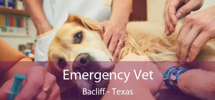 Emergency Vet Bacliff - Texas