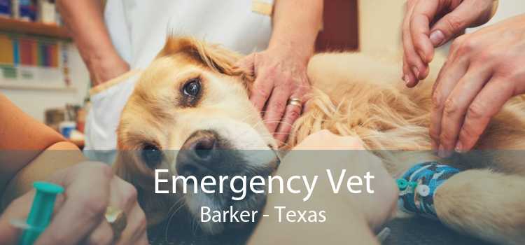 Emergency Vet Barker - Texas