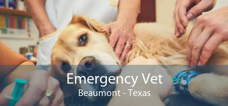 Emergency Vet Beaumont - Texas