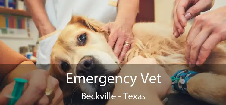 Emergency Vet Beckville - Texas