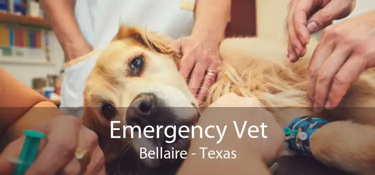 Emergency Vet Bellaire - Texas