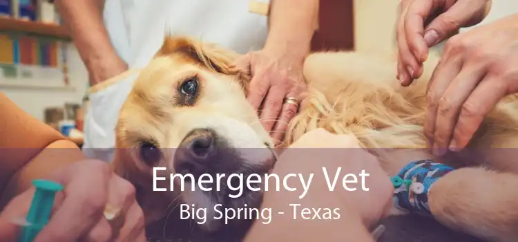 Emergency Vet Big Spring - Texas
