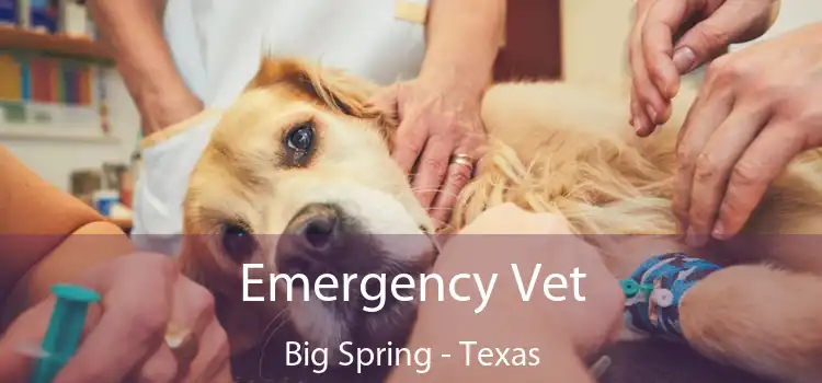 Emergency Vet Big Spring - Texas