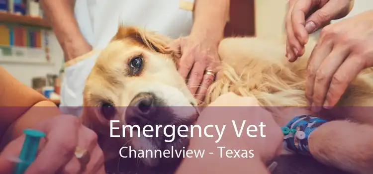 Emergency Vet Channelview - Texas