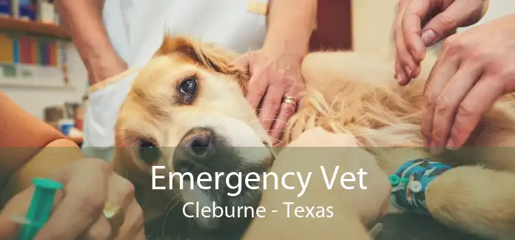 Emergency Vet Cleburne - Texas