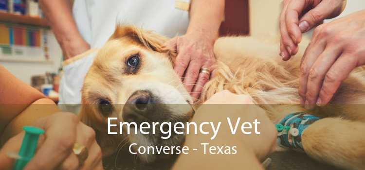 Emergency Vet Converse - Texas