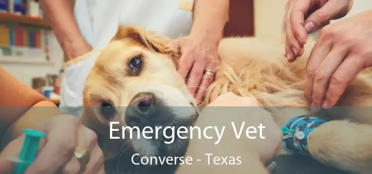 Emergency Vet Converse - Texas