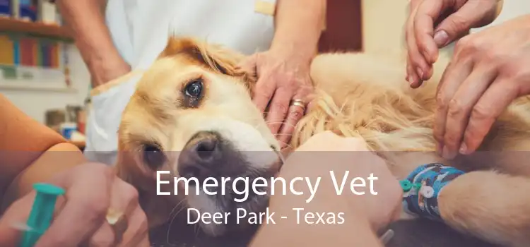 Emergency Vet Deer Park - Texas