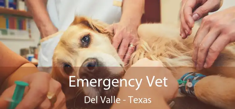 Emergency Vet Del Valle - Texas