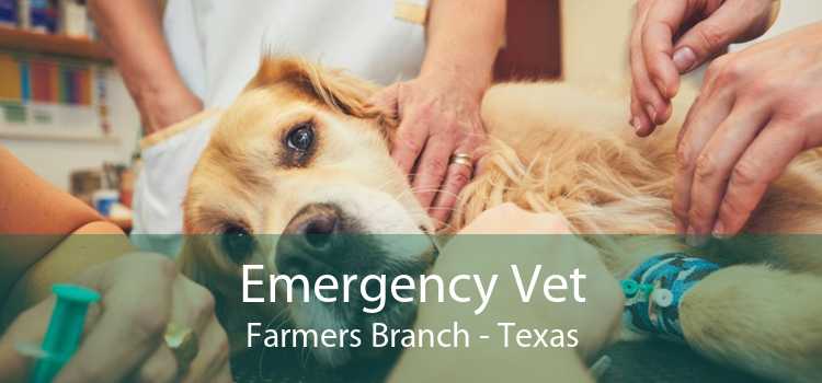 Emergency Vet Farmers Branch - Texas