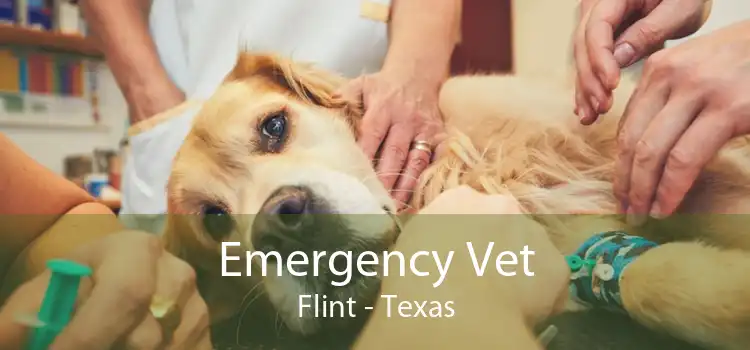 Emergency Vet Flint - Texas