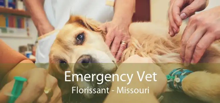 Emergency Vet Florissant - Missouri