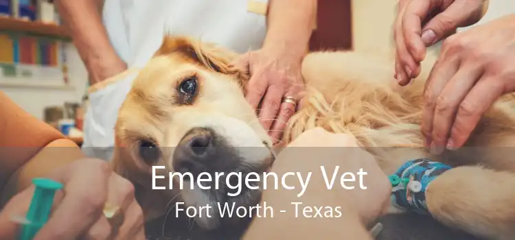 Emergency Vet Fort Worth - Texas