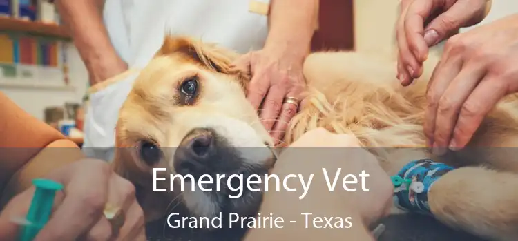 Emergency Vet Grand Prairie - Texas