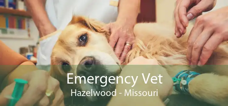 Emergency Vet Hazelwood - Missouri