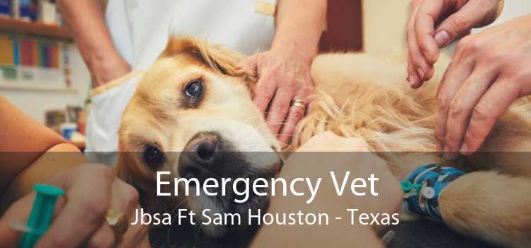 Emergency Vet Jbsa Ft Sam Houston - Texas