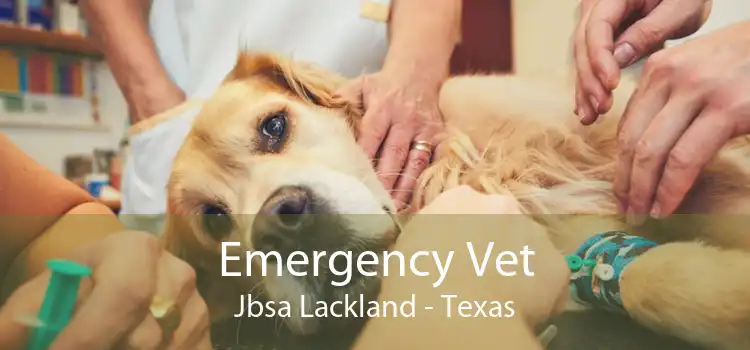 Emergency Vet Jbsa Lackland - Texas