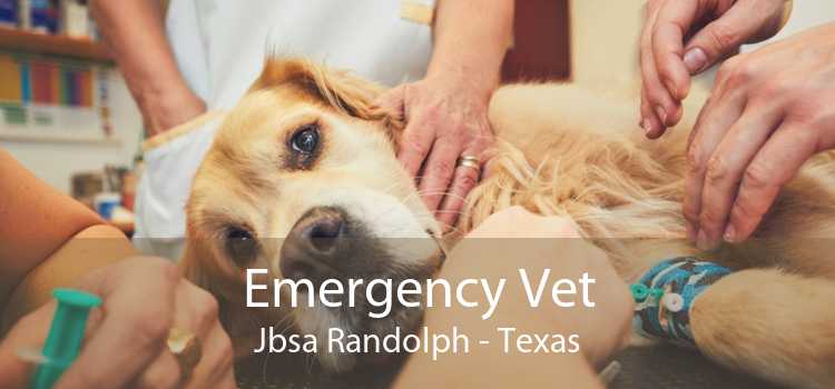 Emergency Vet Jbsa Randolph - Texas