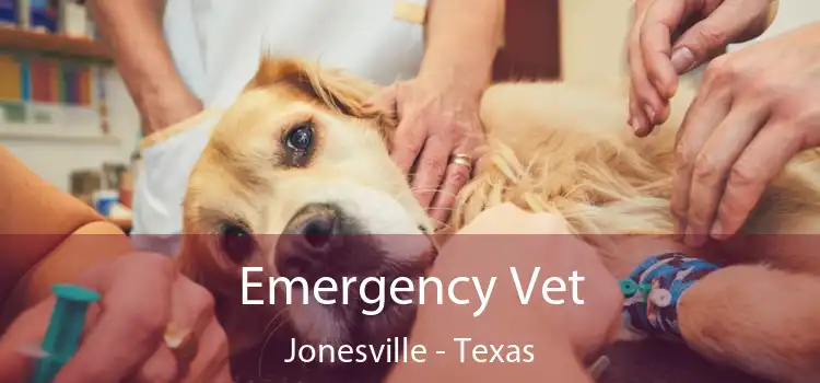 Emergency Vet Jonesville - Texas