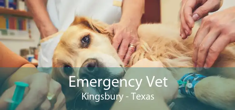 Emergency Vet Kingsbury - Texas