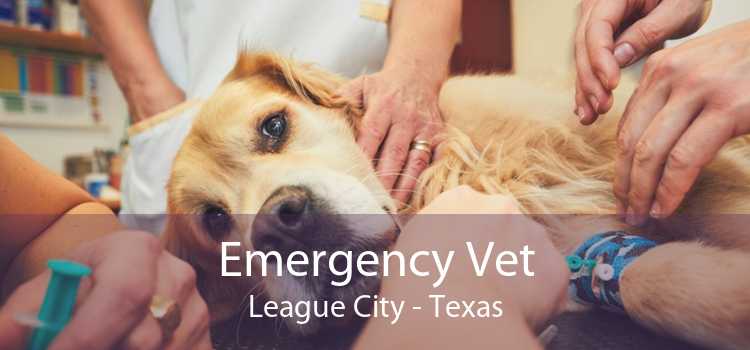 Emergency Vet League City - Texas