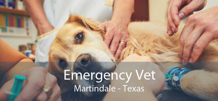 Emergency Vet Martindale - Texas