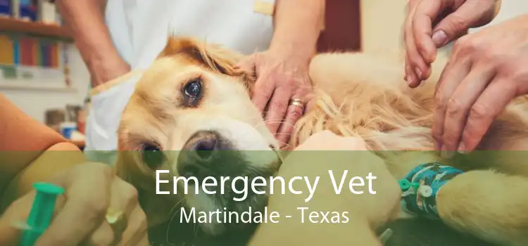Emergency Vet Martindale - Texas