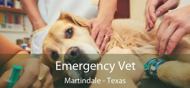 Emergency Vet Martindale - Texas